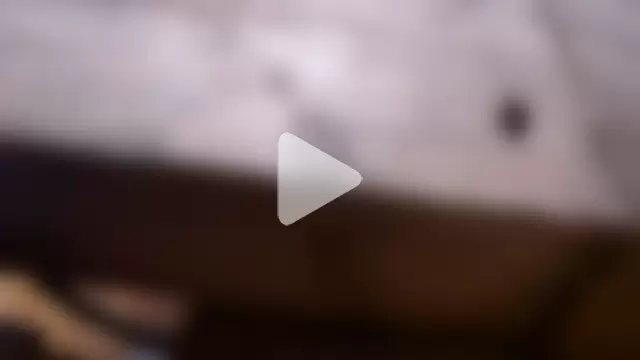 flexingplexico photo 1