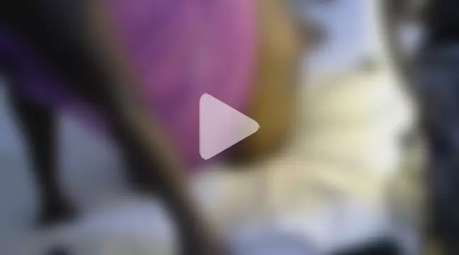 flower_rosee photo 18