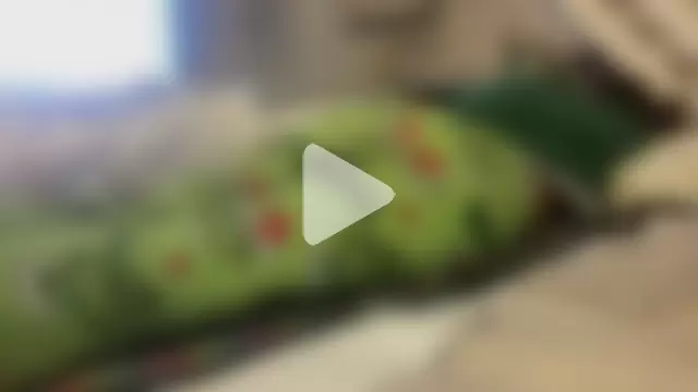 fontanamagica photo 4