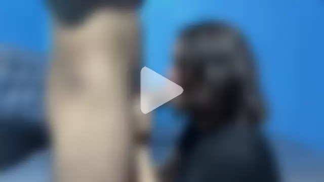 frank_and_claudette photo 7