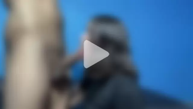 frank_and_claudette photo 5