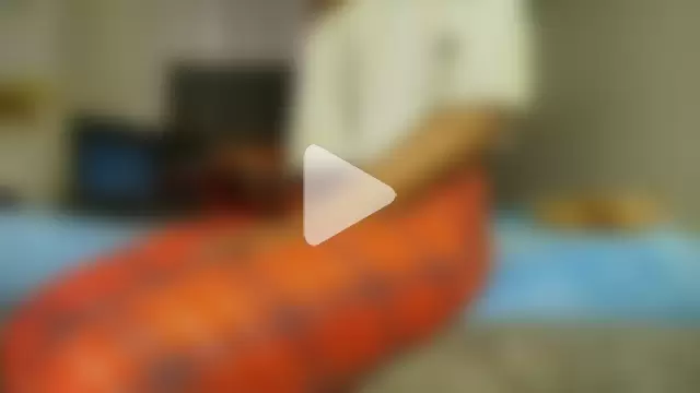 freak_naughty_slut photo 23