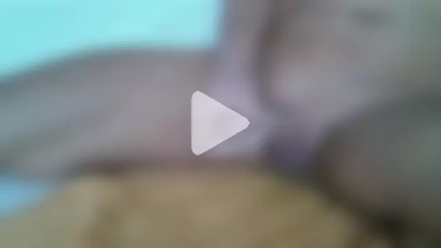 funfunfouryou69 photo 2