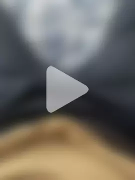 furkansbeysshow71 photo 6