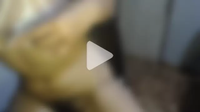 gatitas_traviesas photo 11