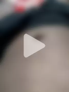 gatooo_preto photo 18