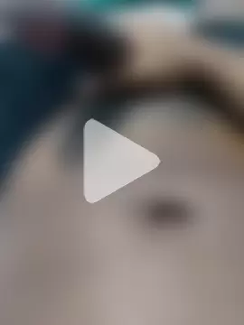 gatooo_preto photo 8