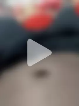 gatooo_preto photo 5