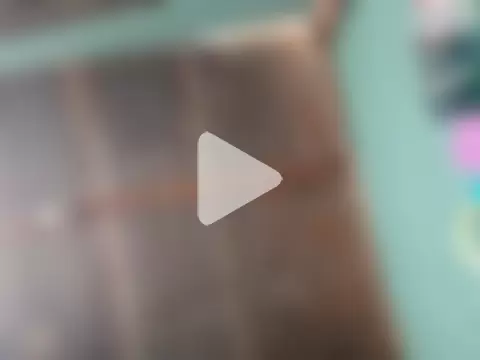 gaviotayleon photo 11