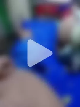 gaviotayleon photo 10