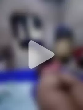 gaviotayleon photo 1