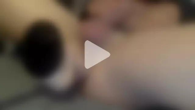 geilstel2025 photo 22