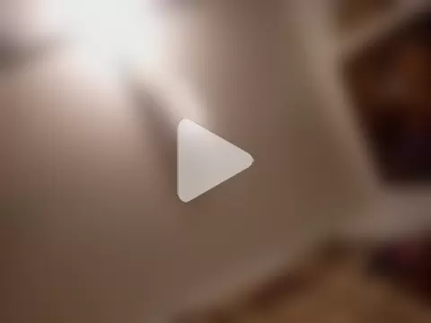 gemini12838 photo 29