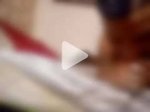 gemini12838 photo 21