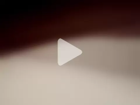 gemini12838 photo 20