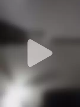 gemini12838 photo 13