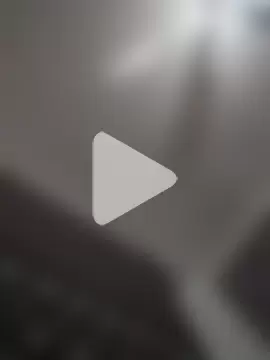 gemini12838 photo 10