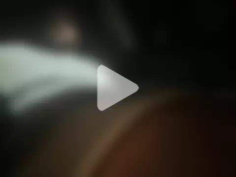 geminiworld1 photo 1