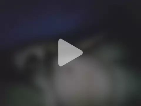 gerilom8787 photo 17