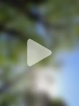 giselxxx_hot photo 13