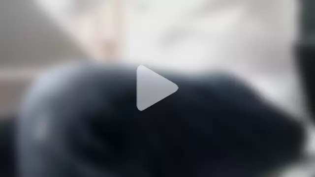 gitano697 photo 15