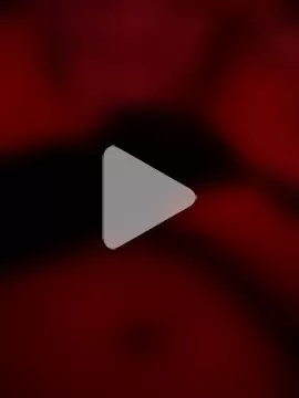 goldboy_0069 photo 3