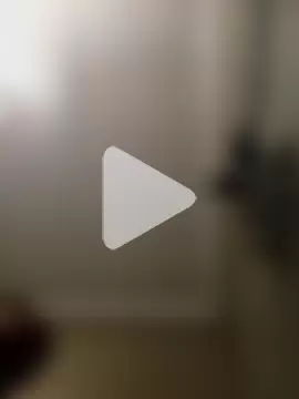 goldenstrips295 photo 4