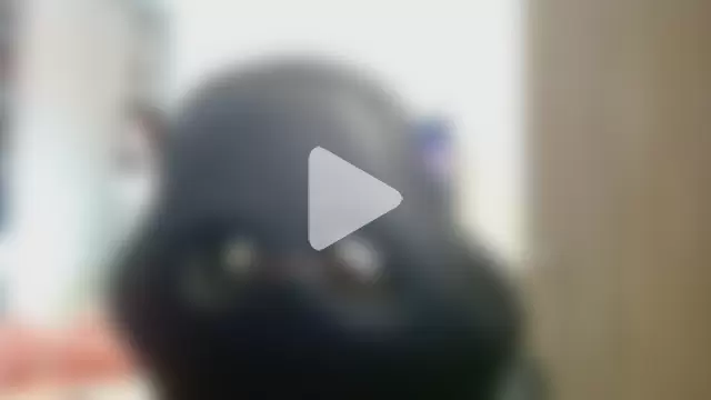 gooddes303salome photo 11