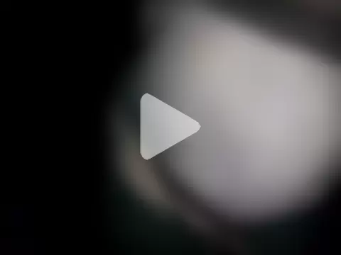 gordinhocachondo photo 1