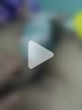 hOrnybOy_369 photo 10