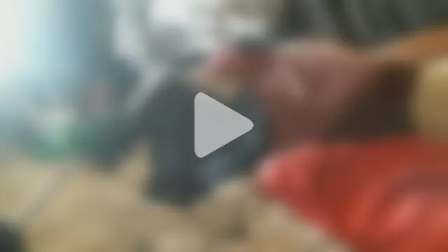 hahard1onestill photo 13