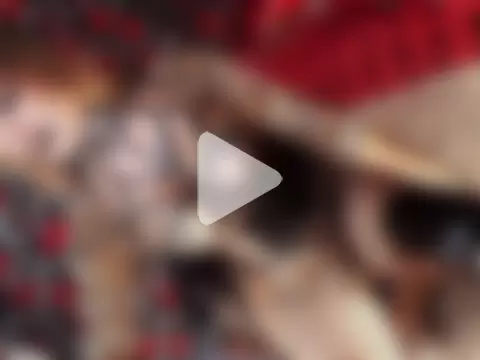 hail_ur_queenx photo 12