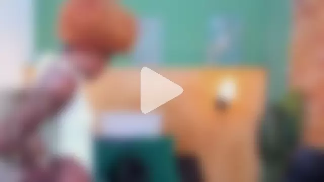 halleylorens photo 3