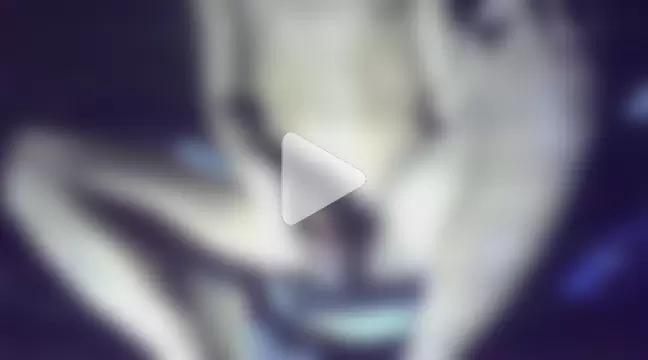 hamdullilah photo 27