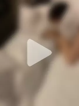 hamedori-strip photo 10