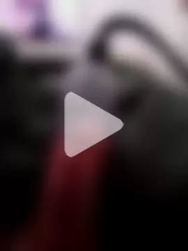 handsome8inchh photo 18