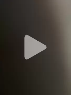 hans02938 photo 4