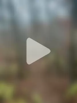 hardwhitemidage photo 2