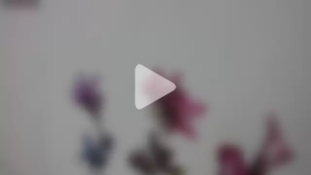 helen_kinett photo 15