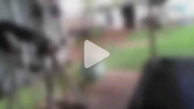 herbie010666 photo 21