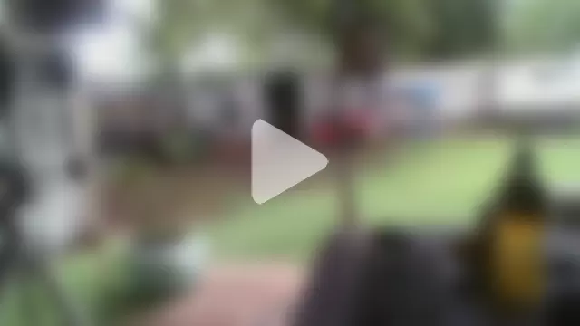 herbie010666 photo 13