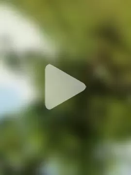 himvilohi08 photo 26