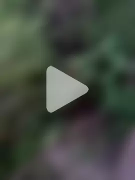 himvilohi08 photo 17