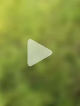 himvilohi08 photo 16