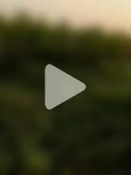 himvilohi08 photo 12