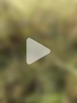 himvilohi08 photo 22