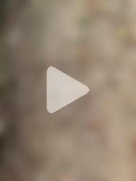 himvilohi08 photo 15