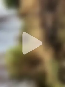 himvilohi08 photo 20