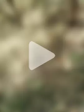 himvilohi08 photo 15