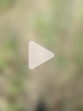 himvilohi08 photo 14